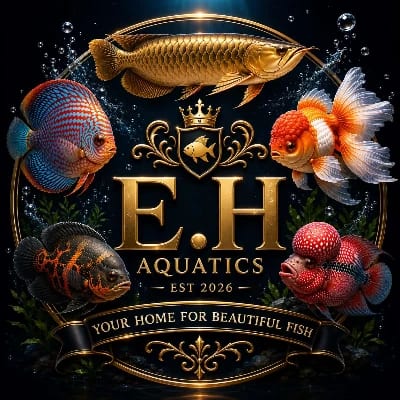 E.H Aquatic's profile photo