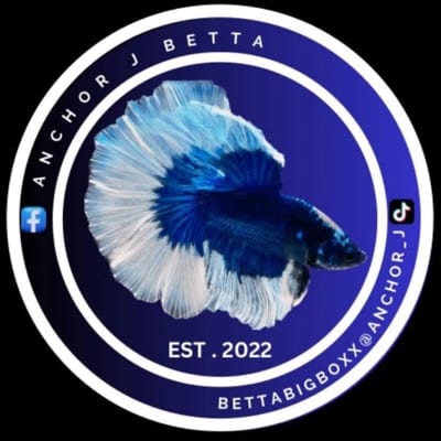 Anchor J Betta's profile photo