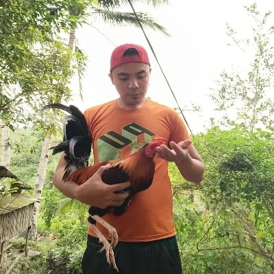 Triple A Gameyard's profile photo