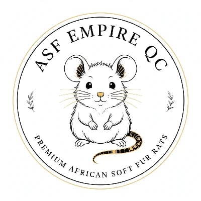 ASF EMPIRE QC's profile photo