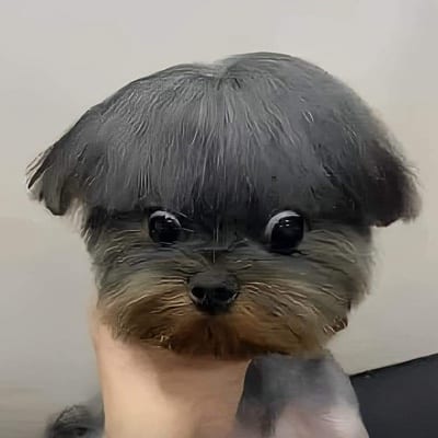 Guó huang's profile photo