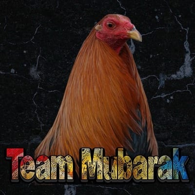Team Mubarak's profile photo