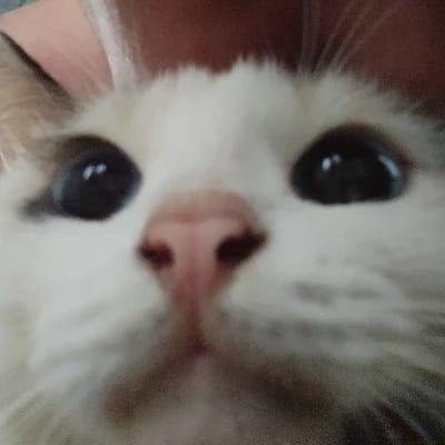 Southside fishaholics's profile photo