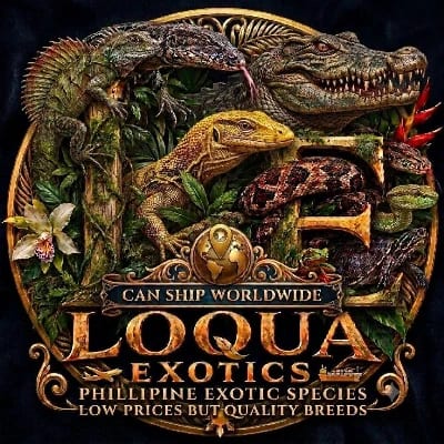 loqua exotics's profile photo
