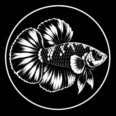 Gian Marco Tiongson's profile photo