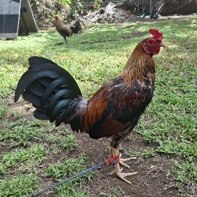 MINIMUM BET GF's profile photo