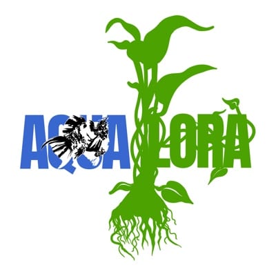Aqua Flora's profile photo