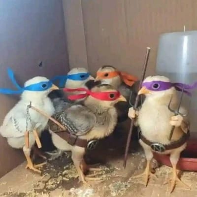Bad Lightning's profile photo