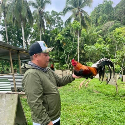 Robert Nino Querubin's profile photo