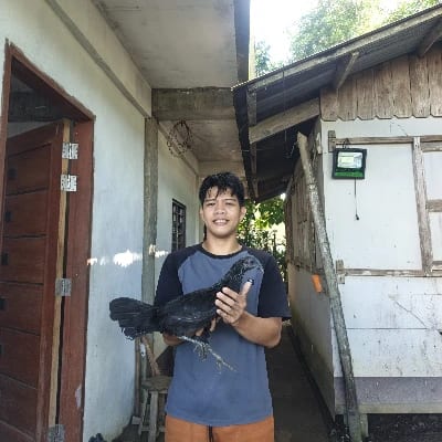 Enri bird 7x's profile photo