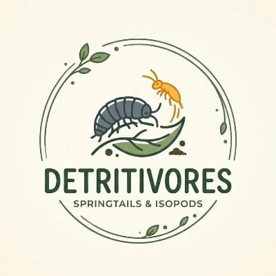 Detritivores's profile photo