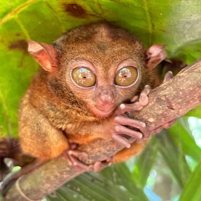 LOT$EXOTIC'$'s profile photo
