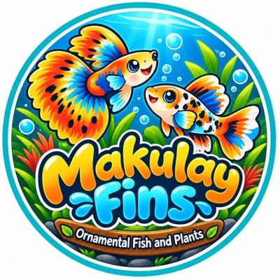 Makulay Fins's profile photo