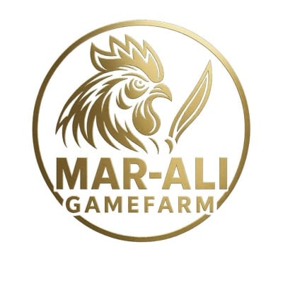Marvin A.'s profile photo