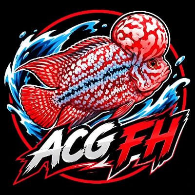 ACG's profile photo