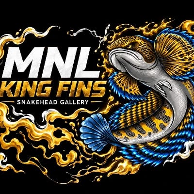 MNL KingFins's profile photo