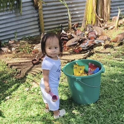 Aizen Gamefowl's profile photo