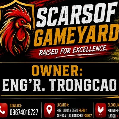 SCARSOF GAMEYARD's profile photo
