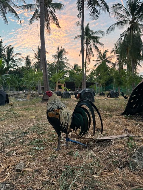 Photo from Kent Vincent Lanojan's post
