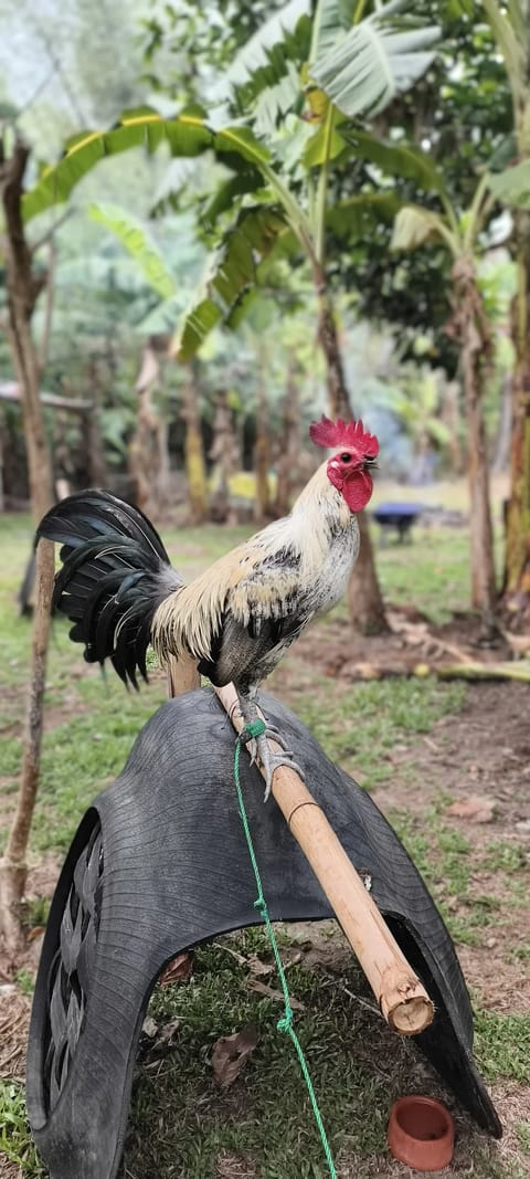 Photo from john lyndon perante's post
