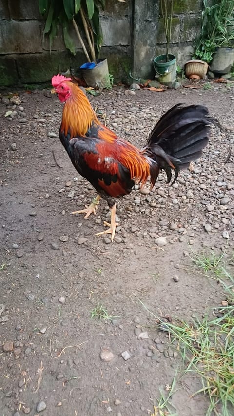 Photo from Riverbend Game Farm's post