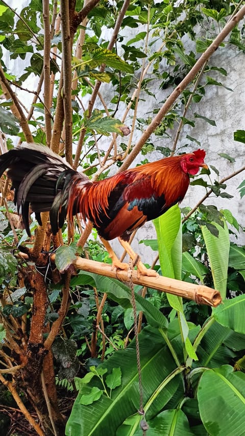 Photo from Riverbend Game Farm's post