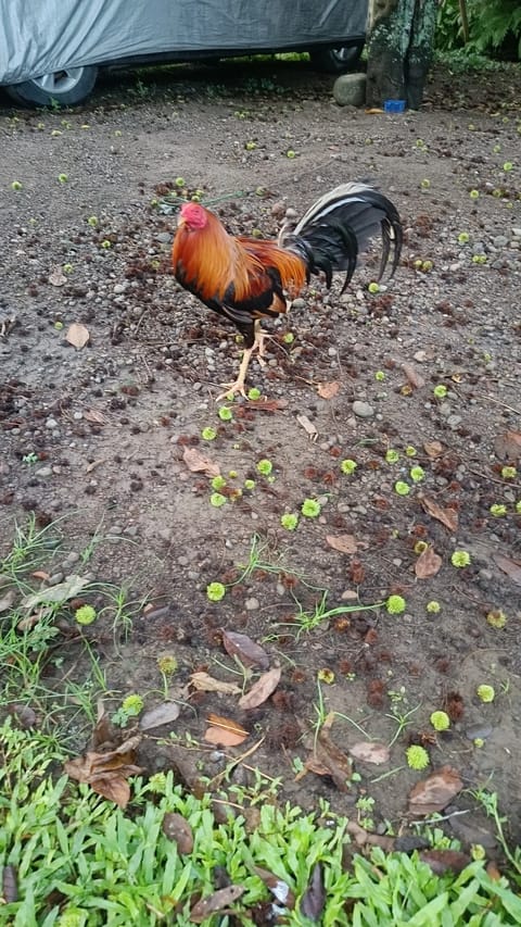 Photo from Riverbend Game Farm's post