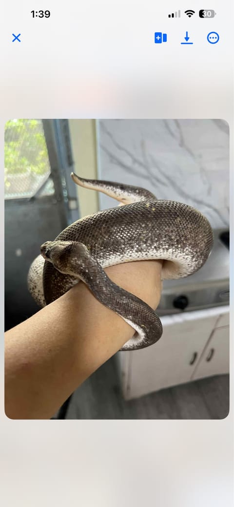 Photo from Archie Gaw's post