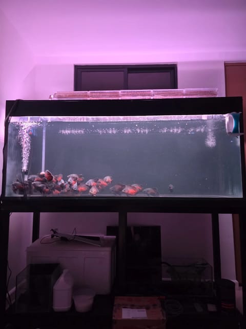 Video from Oriellefreshwaterden's post