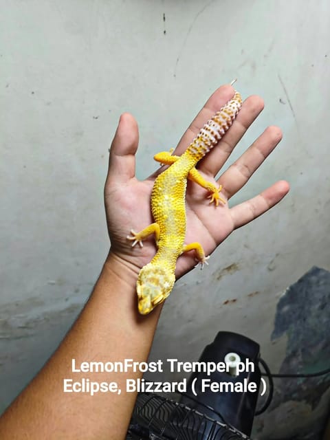 Photo from The Feeders Hub's post