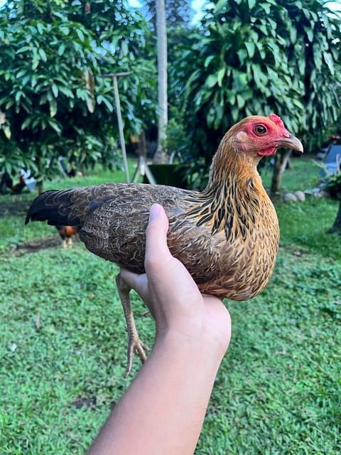 Photo from Gilbert John Paran's post