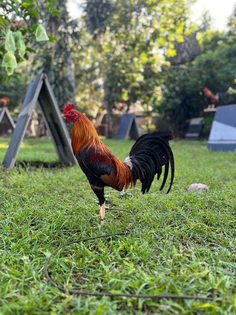 Photo from Gilbert John Paran's post