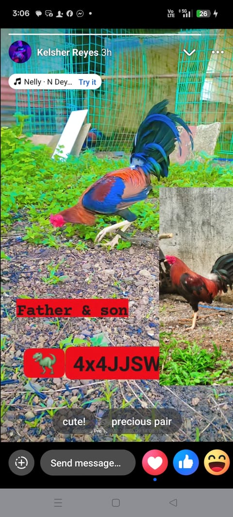 Photo from RAPTOR's post