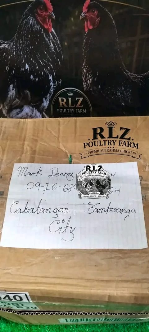 Photo 2 of 8 from Rey Delos Santos's post