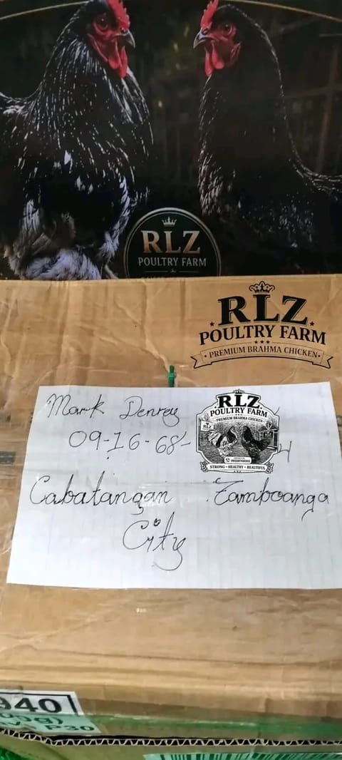 Photo 4 of 8 from Rey Delos Santos's post