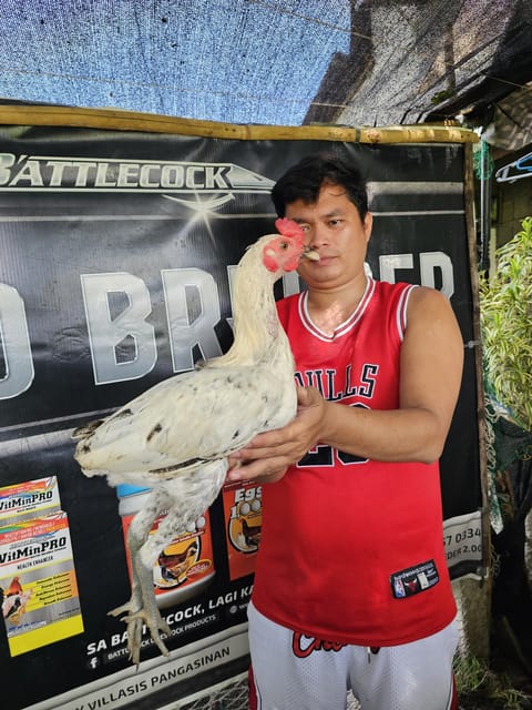 Photo from MAD BREEDER 🐓's post