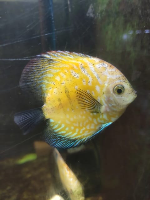 Photo from FRESH WATER BACKYARD's post