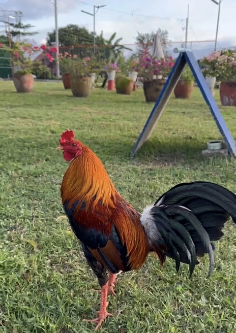 Photo from Don F Farm's post