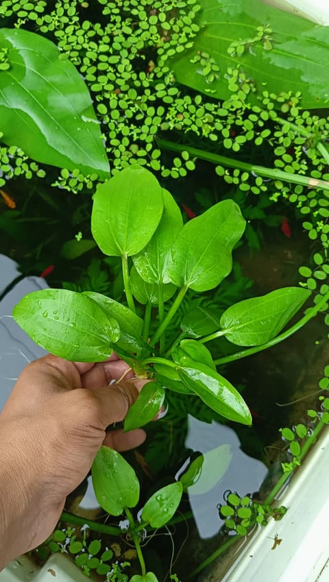 Photo from Win Cor's post