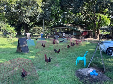 Photo from sirquitz Farm's post