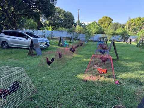 Photo 4 of 5 from sirquitz Farm's post