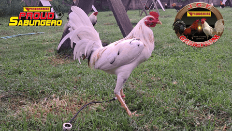 Photo from J & E GameFarm's post