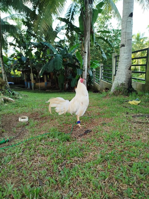 Photo 4 of 4 from Sphenzer Abing's post