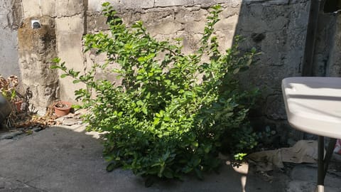 Photo from BRAVEYARD GF's post