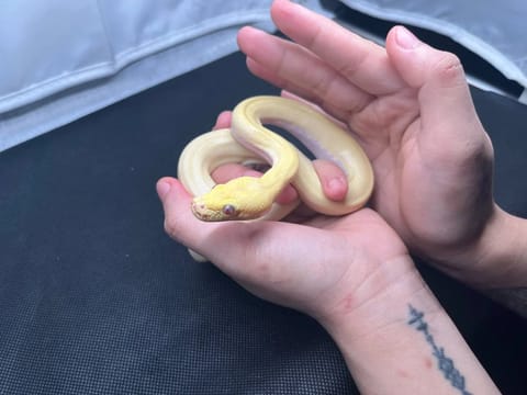Video from Axt Erdaje's post