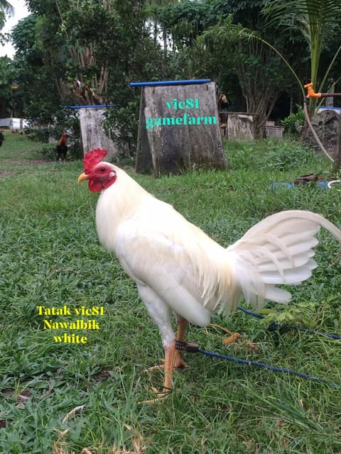 Photo from Vic R. Prudente's post