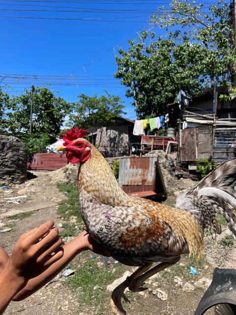 Photo from Joseph Michael Jumao-as's post
