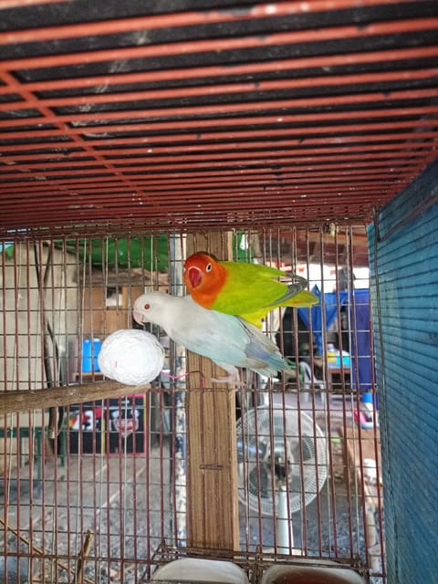 Photo from Isagani Aquino's post