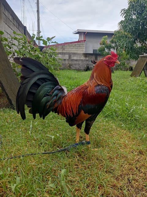 Photo from TZN GAMEFARM's post