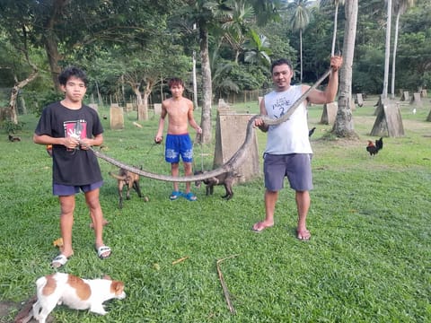 Photo 1 of 2 from CATBU Warriors's post